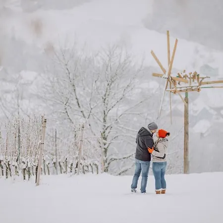 Hotel Ratscher Wein- Und Wellbeinghotel