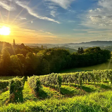 Ratscher Wein- Und Wellbeinghotel