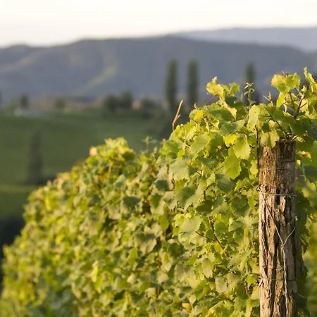 Hotel Ratscher Wein- Und Wellbeinghotel