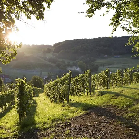 Hotel Ratscher Wein- Und Wellbeinghotel