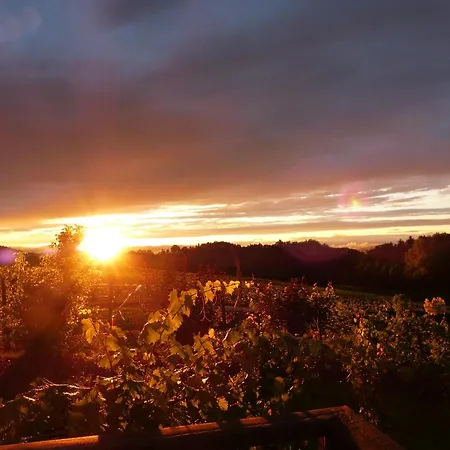 Ratscher Wein- Und Wellbeinghotel