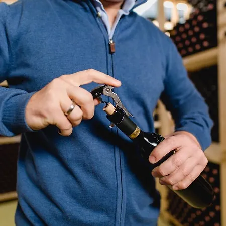 Ratscher Wein- Und Wellbeinghotel 3*