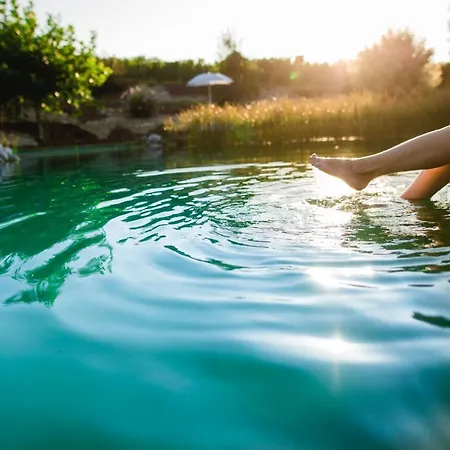 Hotel Ratscher Wein- Und Wellbeinghotel Ratsch an der Weinstraße