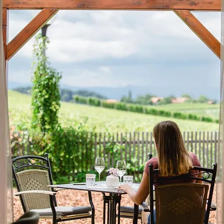 Hotel Ratscher Wein- Und Wellbeinghotel Ratsch an der Weinstraße