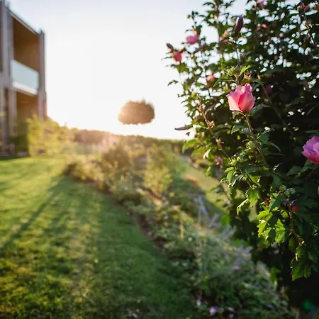 Ratscher Wein- Und Wellbeinghotel 3*