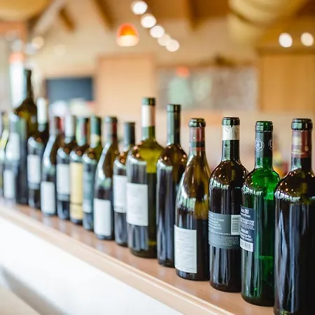 Ratscher Wein- Und Wellbeinghotel 3*