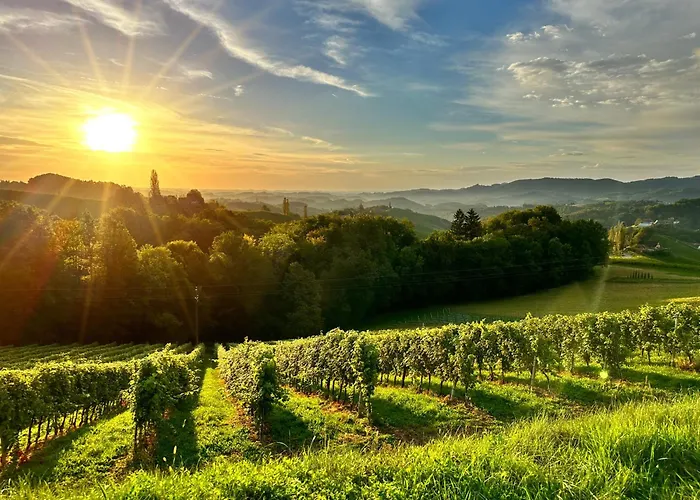 Ratscher Wein- Und Wellbeinghotel