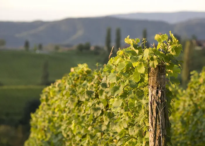 Ξενοδοχείο Ratscher Wein- Und Wellbeinghotel