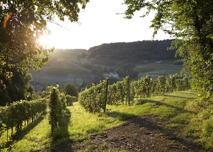 Ξενοδοχείο Ratscher Wein- Und Wellbeinghotel