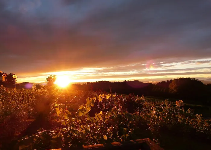 Ratscher Wein- Und Wellbeinghotel