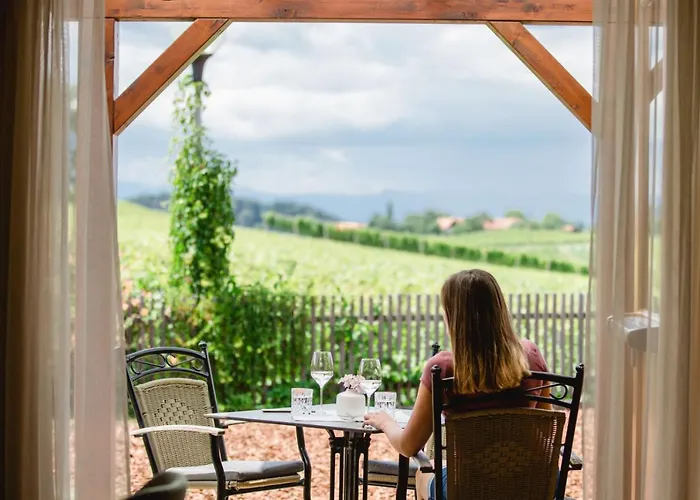 Ξενοδοχείο Ratscher Wein- Und Wellbeinghotel Ratsch an der Weinstraße