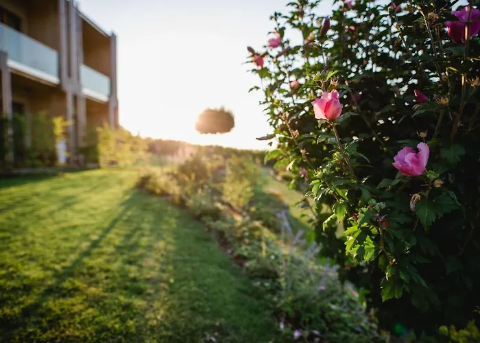 Ratscher Wein- Und Wellbeinghotel 3*