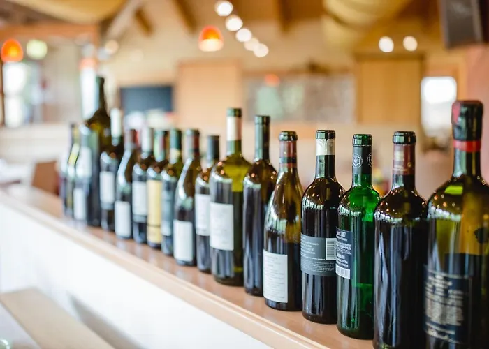 Ratscher Wein- Und Wellbeinghotel 3*