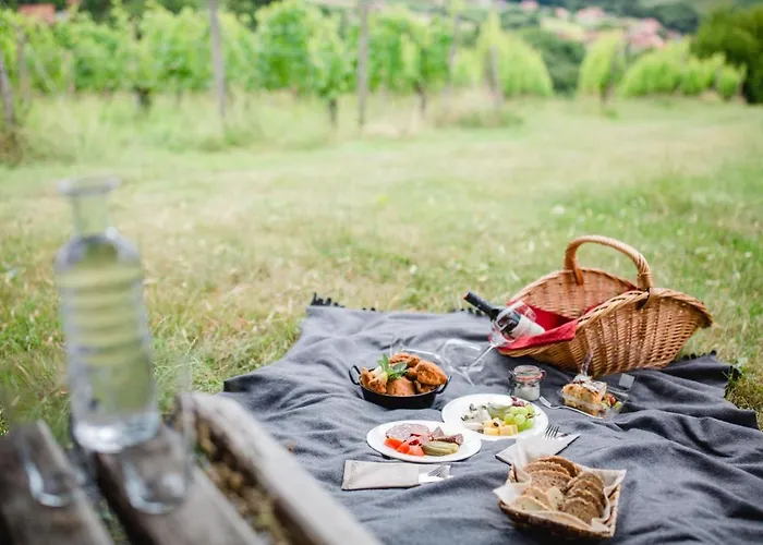 Ratscher Wein- Und Wellbeinghotel Hotell